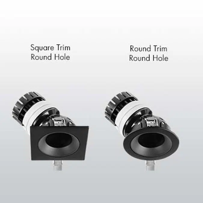 Lumencore Small Adjustable