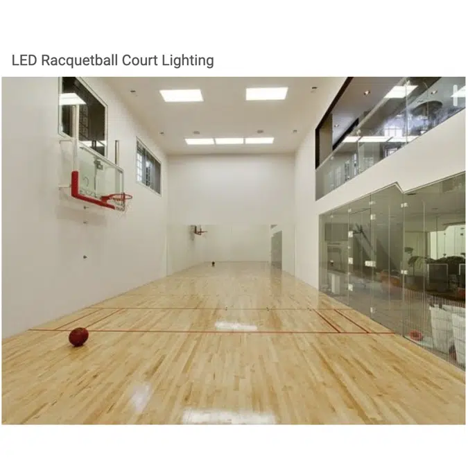 2x2 LED Racquetball Court Fixture