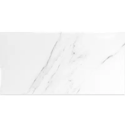 Image for Marmol Oslo 30X60