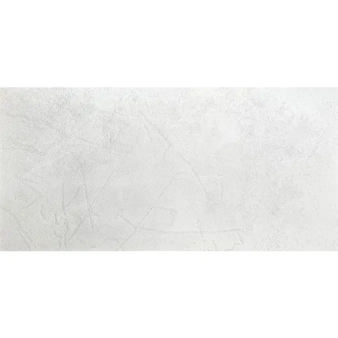 Acasta 58.4X118.4 Dual Rectified