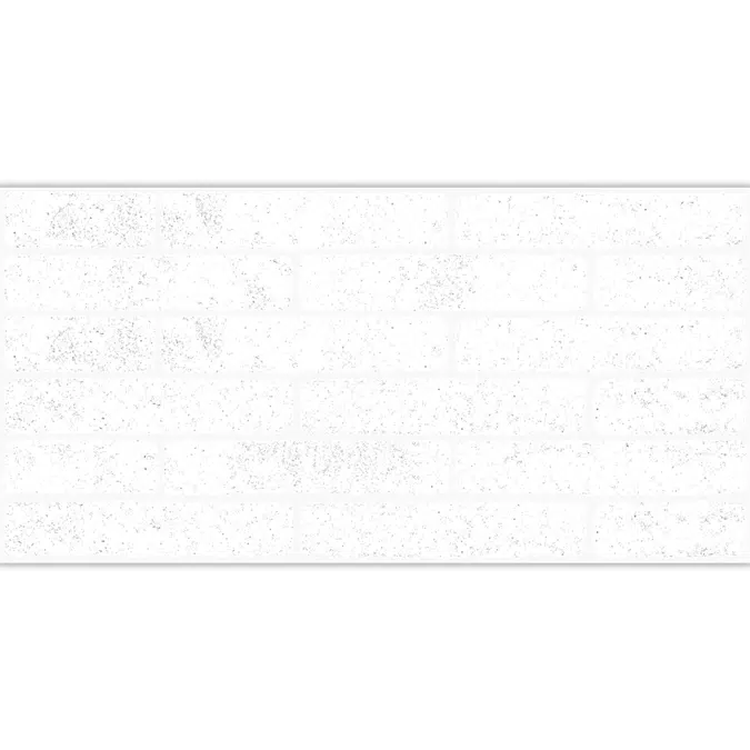 Muro Bianco 30X60