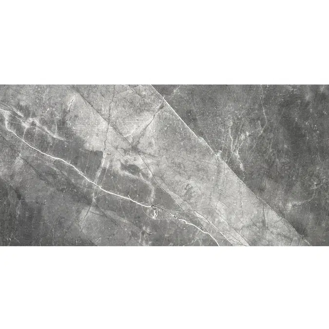 Onice 58.4X118.4 Rectified