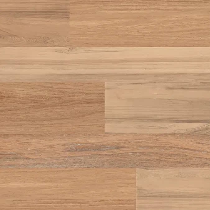 Castagno 60X60