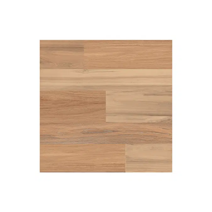 Castagno 60X60
