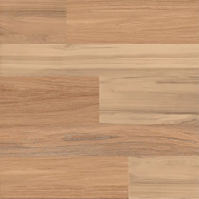 Castagno 60X60