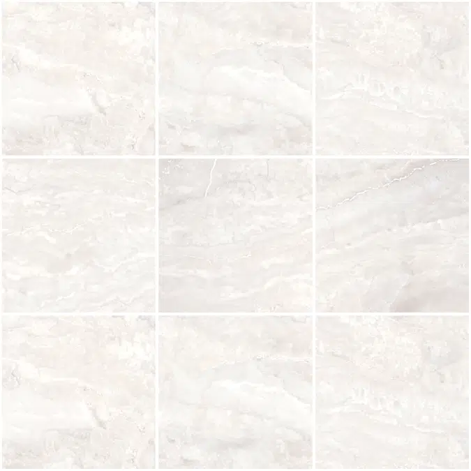 Donata 60X60 Rectified
