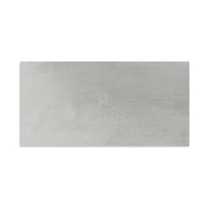 Morandi Gris 58.4X118.4 Rectified