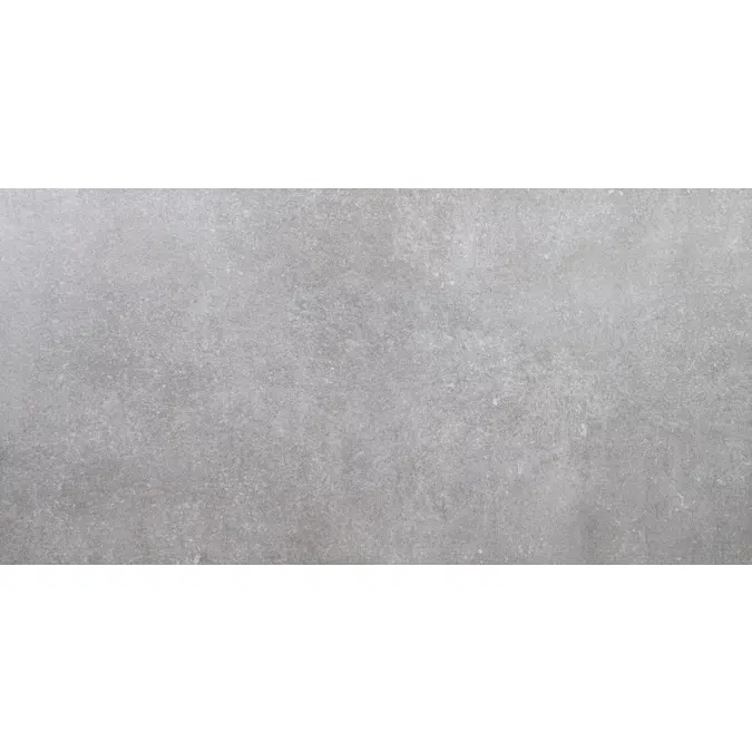 Tellus Gris 58.4X118.4 Rectified
