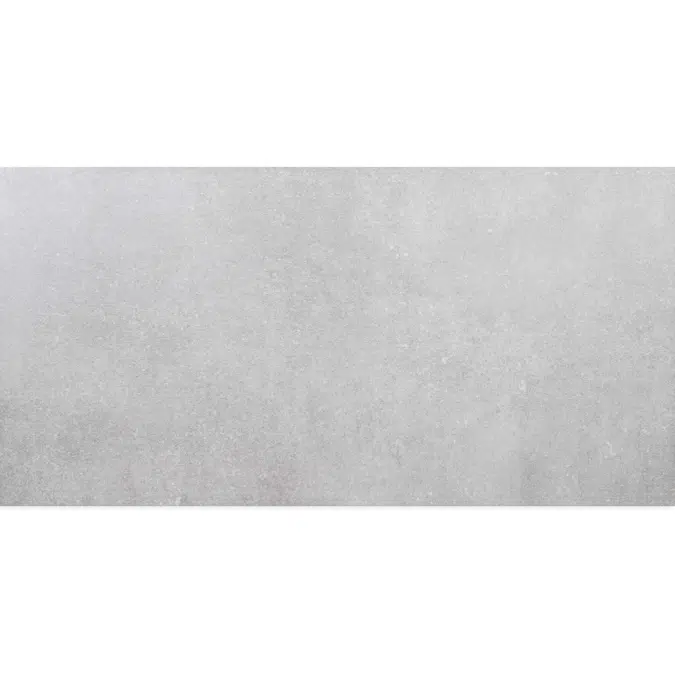 Tellus Gris 58.4X118.4 Rectified