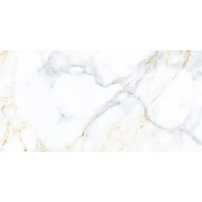 Carrara Real 58.4 X118.4 Rectified
