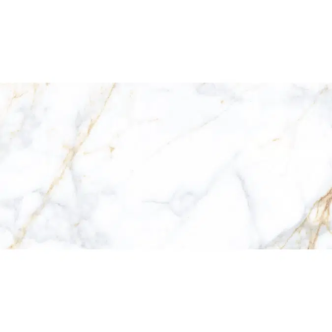 Carrara Real 58.4 X118.4 Rectified