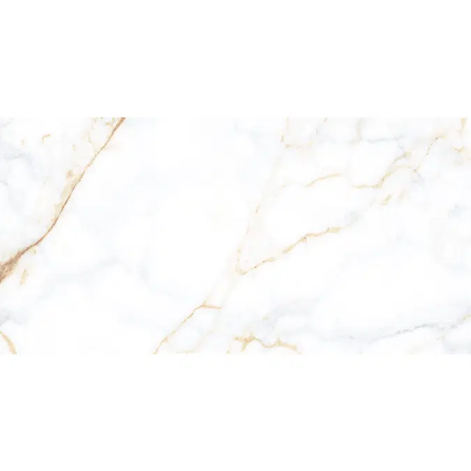 Carrara Real 58.4 X118.4 Rectified
