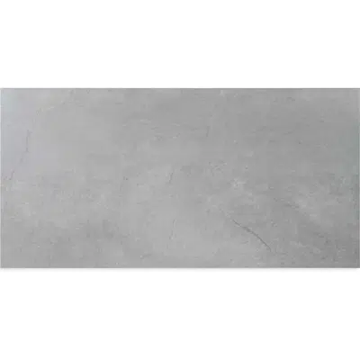 Image for Ferrara Gris 58.4X118.4 Rectified