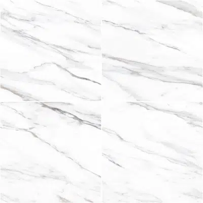 Image pour Colonatta 60X60 Rectified