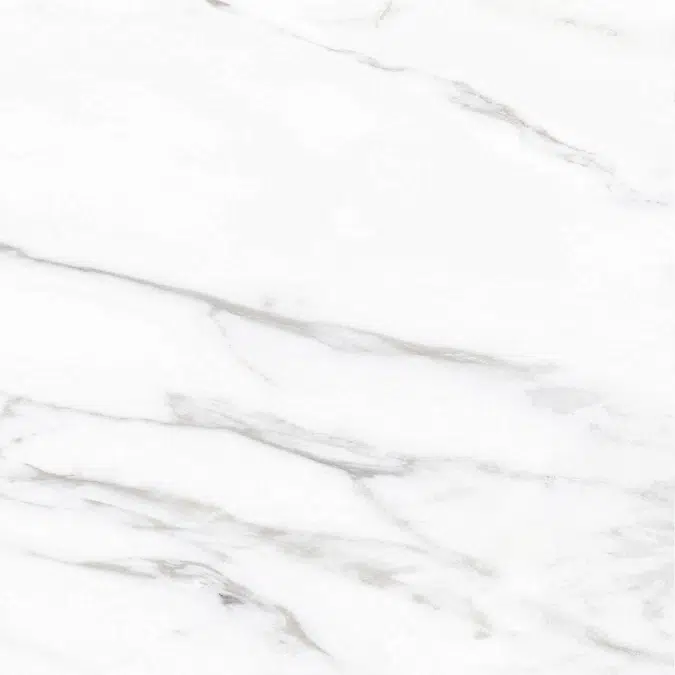 Colonatta 60X60 Rectified