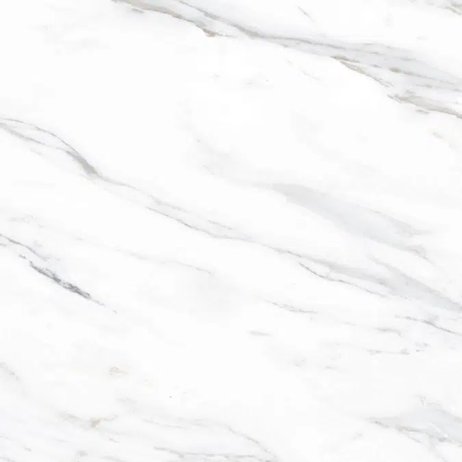 Colonatta 60X60 Rectified