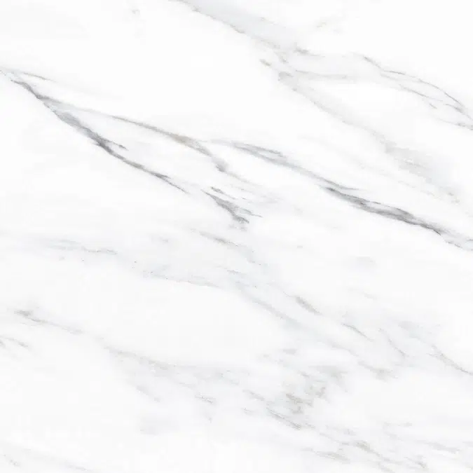 Colonatta 60X60 Rectified