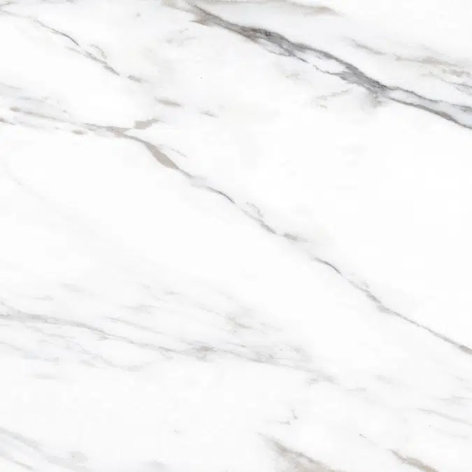 Colonatta 60X60 Rectified