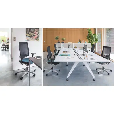 Black Dot Ergonomic Task Chair 이미지