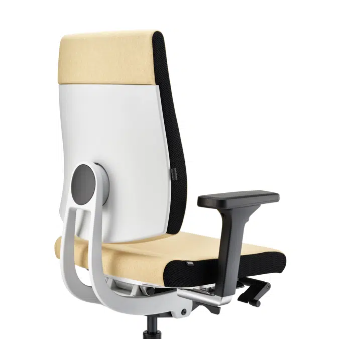 Black Dot Ergonomic Task Chair