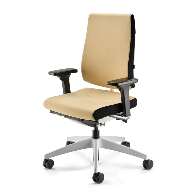 Black Dot Ergonomic Task Chair