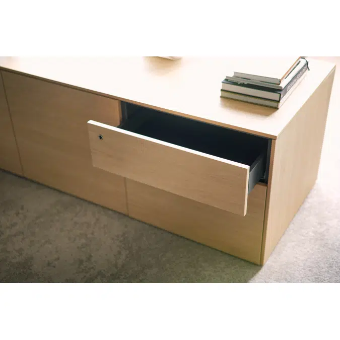 se:vision desk