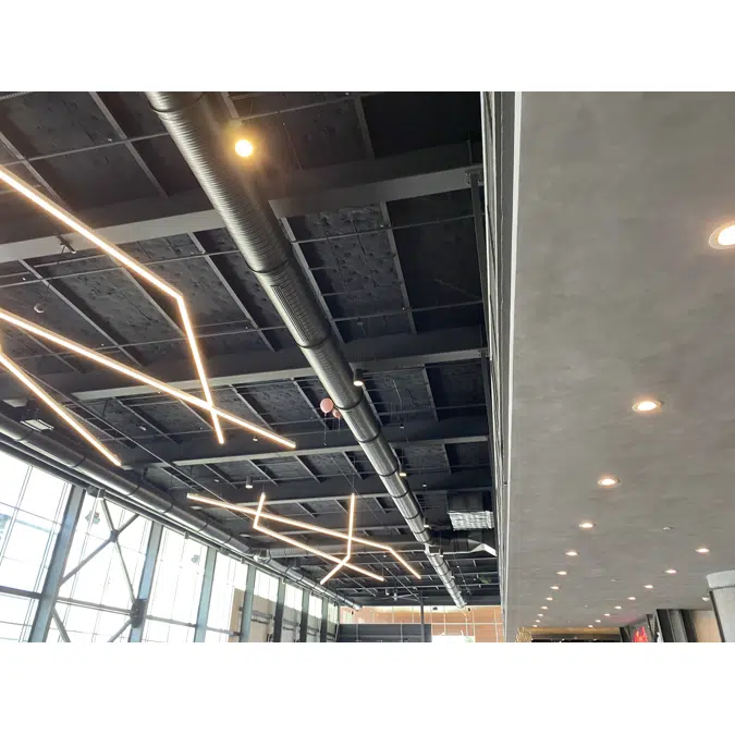 Echo Eliminator™ - Bass Buster™