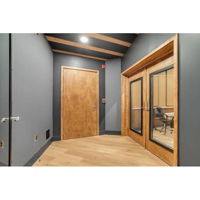 Studio 3D Sound Rated Interior Doors