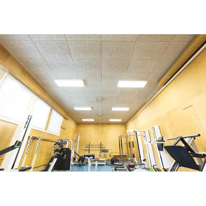 Envirocoustic™ Wood Wool Acoustical Panels