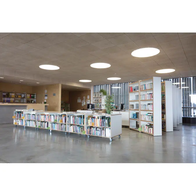 Envirocoustic™ Wood Wool Acoustical Panels