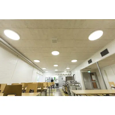 Imagem para Envirocoustic™ Wood Wool Acoustical Panels}