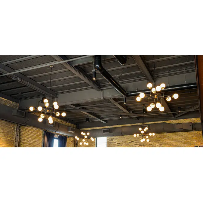 Envirocoustic™ Wood Wool – Ceiling Cloud