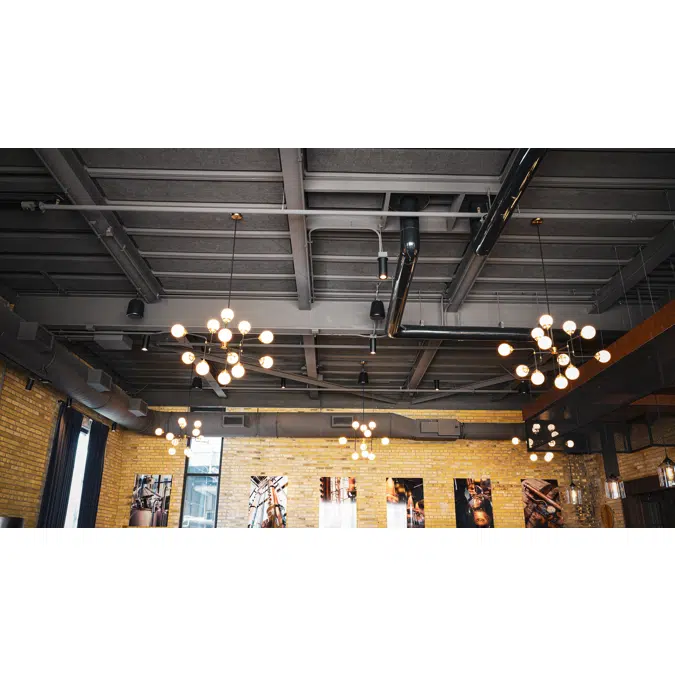 Envirocoustic™ Wood Wool – Ceiling Cloud