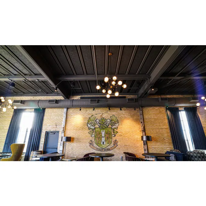 Envirocoustic™ Wood Wool – Ceiling Cloud