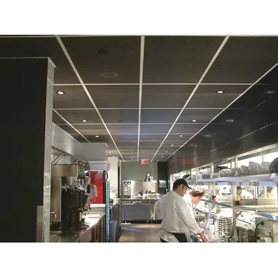 Image for Sound Silencer™ - Ceiling Tiles - Fiber Free and Cleanable 