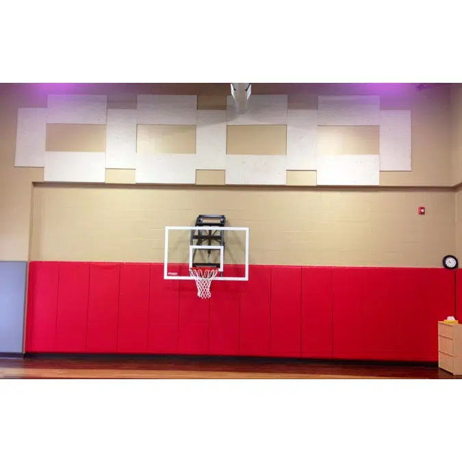 Echo Eliminator Acoustical Panels