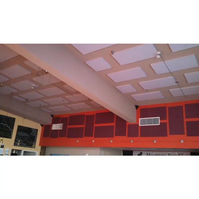 Echo Eliminator Acoustical Panels