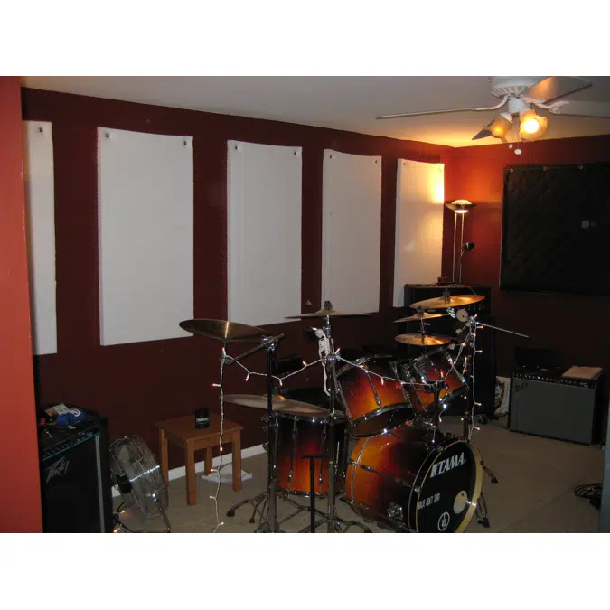 Echo Eliminator Acoustical Panels