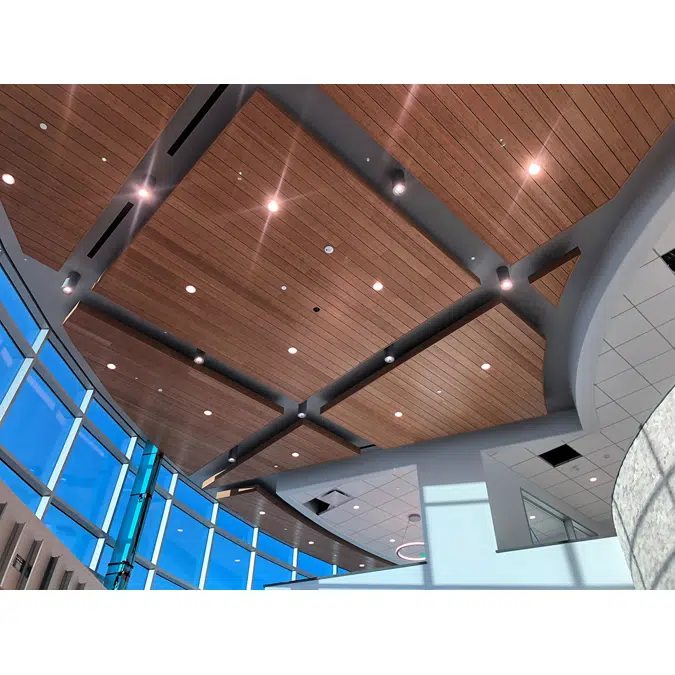 Acoustical Linear Wood Ceilings and Walls