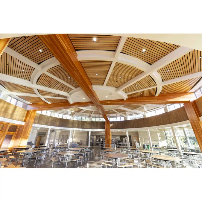 Acoustical Linear Wood Ceilings and Walls