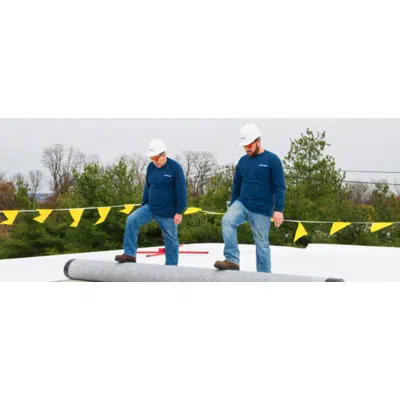 изображение для Sure-Flex FRS