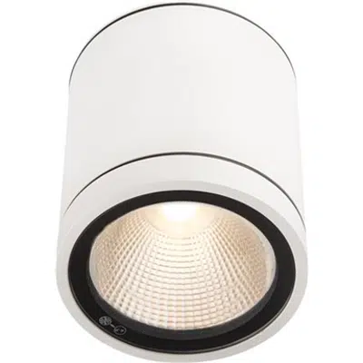 Image for MILO XL (Ceiling Mounted)