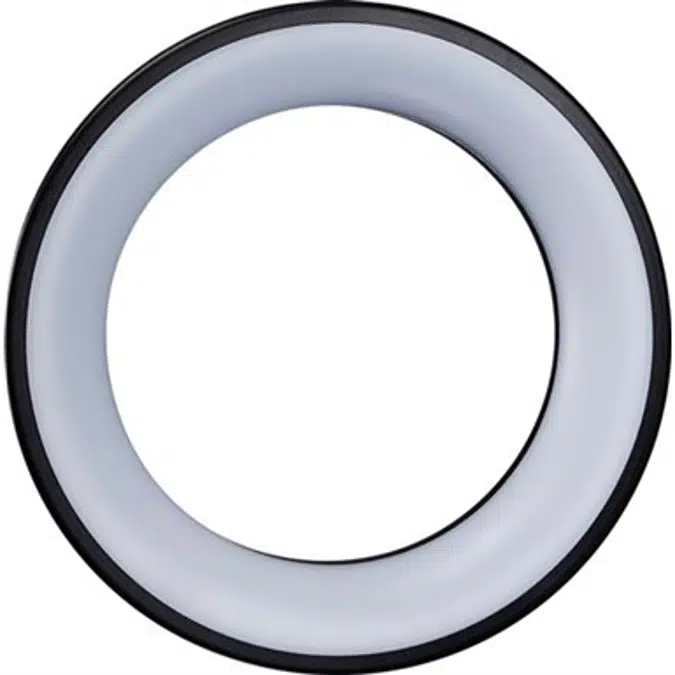 O-RING (ceiling)