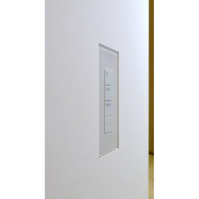 Flush wall mount for Lutron Palladiom 1G US Glass