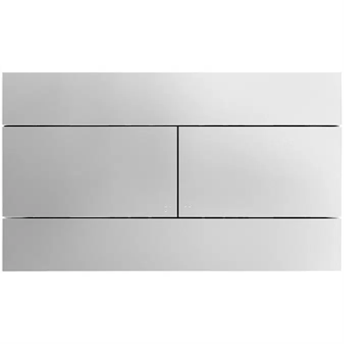 Dual flush plate - 25.5 x 15.1cm