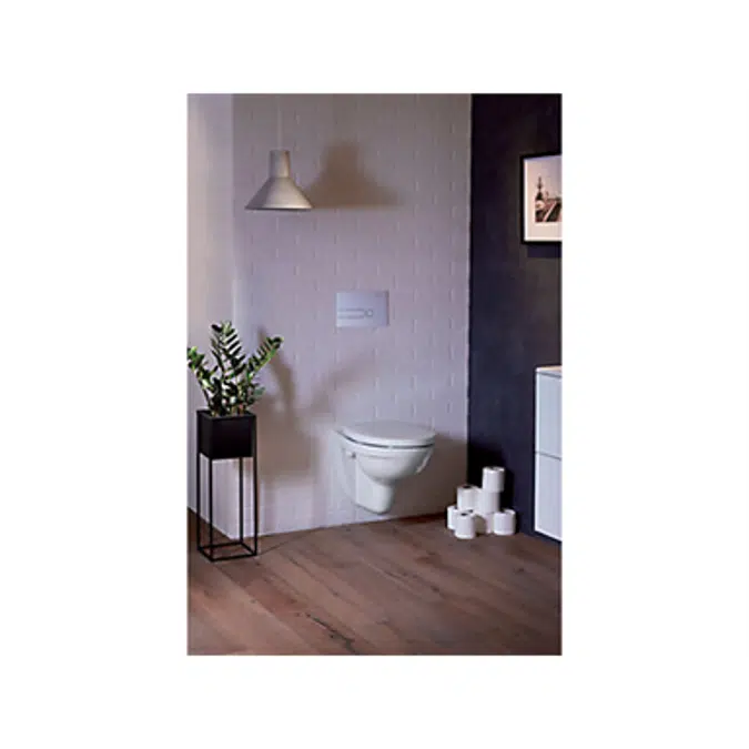 Rimless wall-hung WC pan
