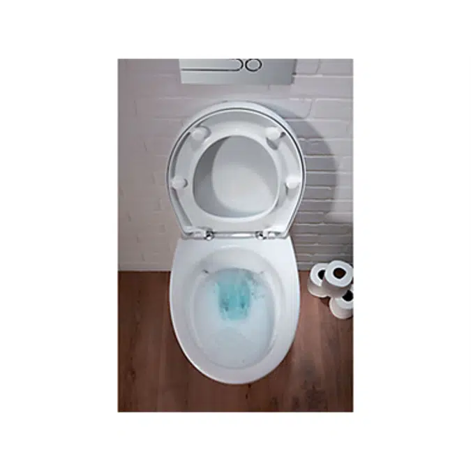 Rimless wall-hung WC pan