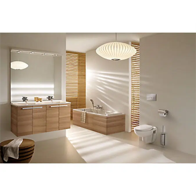 Rimless wall-hung WC pan