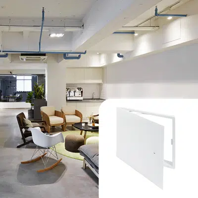  Universal Access Door with Pantograph Hinge图像