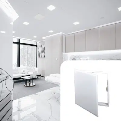 Universal Access Door with Magnetic Closing图像